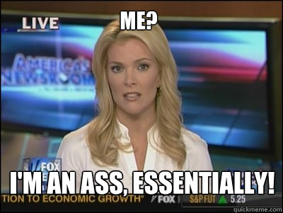 Me?  I'm an ass, essentially!  Megyn Kelly