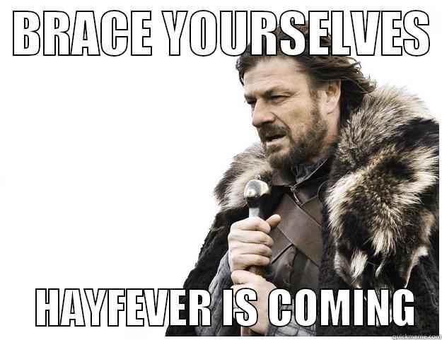  BRACE YOURSELVES       HAYFEVER IS COMING   Imminent Ned