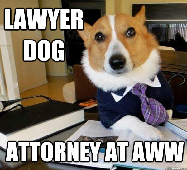 Lawyer Dog Attorney at aww  