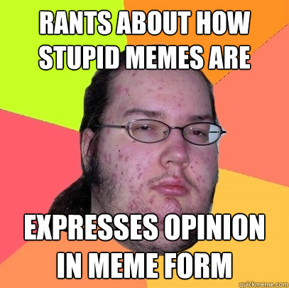 rants about how stupid memes are expresses opinion in meme form - rants about how stupid memes are expresses opinion in meme form  Butthurt Dweller