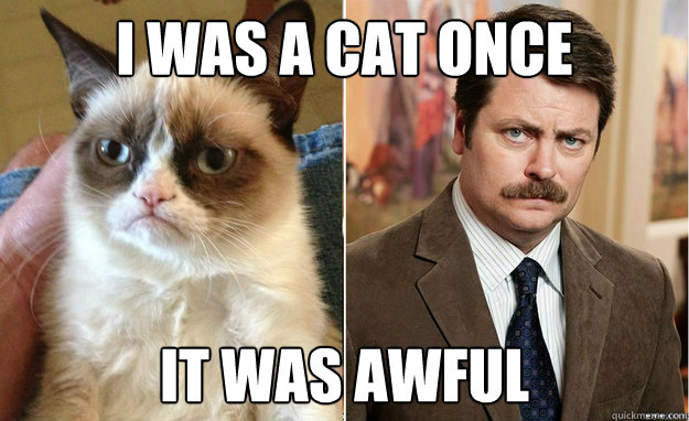 I WAS A CAT ONCE IT WAS AWFUL - I WAS A CAT ONCE IT WAS AWFUL  Grumpy Ron