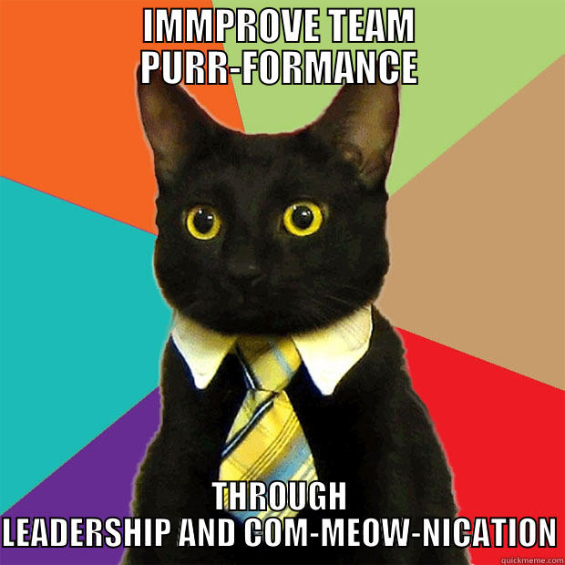 IMMPROVE TEAM PURR-FORMANCE THROUGH LEADERSHIP AND COM-MEOW-NICATION Business Cat