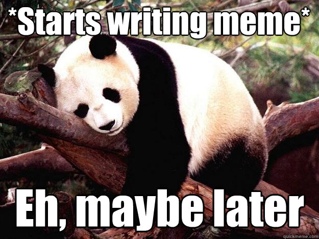 *Starts writing meme* Eh, maybe later  Procrastination Panda