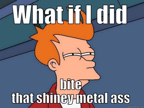 WHAT IF I DID BITE THAT SHINEY METAL ASS Futurama Fry