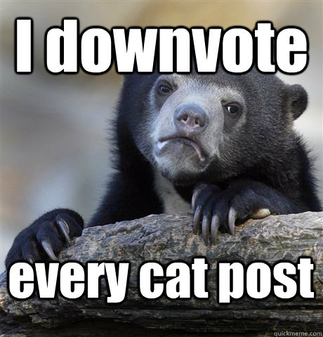 I downvote every cat post  Confession Bear