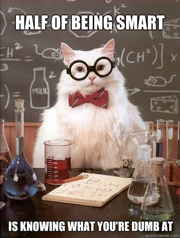 Half of being smart  is knowing what you're dumb at  Chemistry Cat