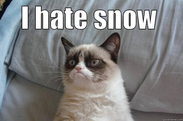 I HATE SNOW  Grumpy Cat