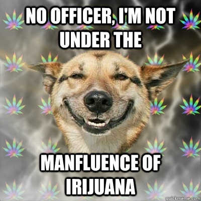 No officer, I'm not under the  manfluence of irijuana  Stoner Dog