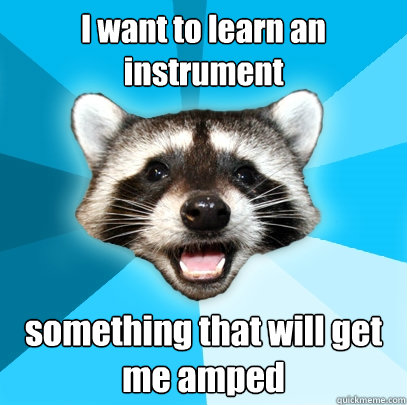 I want to learn an instrument something that will get me amped  Lame Pun Coon