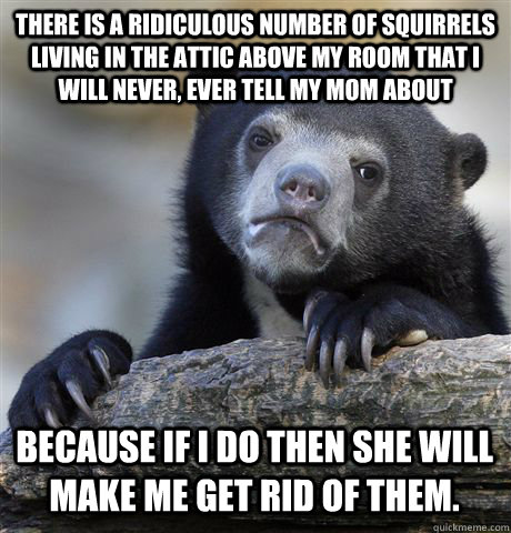 there is a ridiculous number of squirrels living in the attic above my room that I will never, ever tell my mom about because if I do then she will make me get rid of them. - there is a ridiculous number of squirrels living in the attic above my room that I will never, ever tell my mom about because if I do then she will make me get rid of them.  Confession Bear