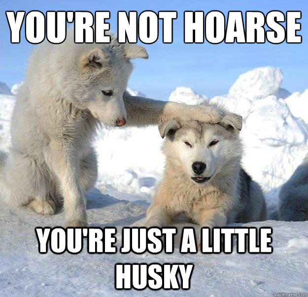 you're not hoarse
 you're just a little husky  Caring Husky