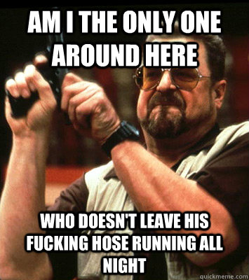 Am I the only one around here Who doesn't leave his fucking hose running all night  Walter Sobchak