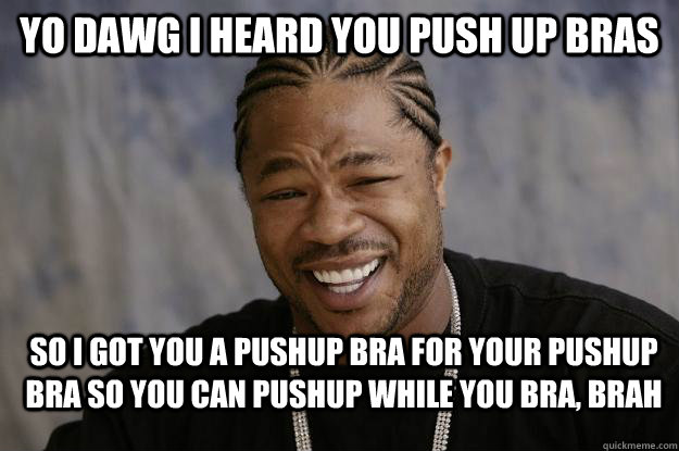 Yo dawg I heard you push up bras So I got you a pushup bra for your pushup bra so you can pushup while you bra, brah  Xzibit meme 2