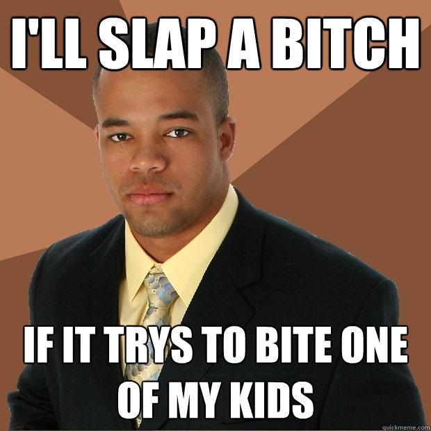 i'll slap a bitch if it trys to bite one of my kids  Successful Black Man