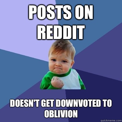 Posts on Reddit Doesn't get downvoted to oblivion  Success Kid