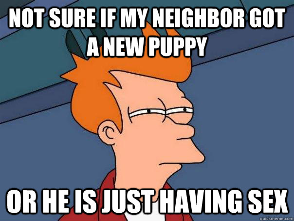 Not sure if my neighbor got a new puppy Or he is just having sex  Futurama Fry