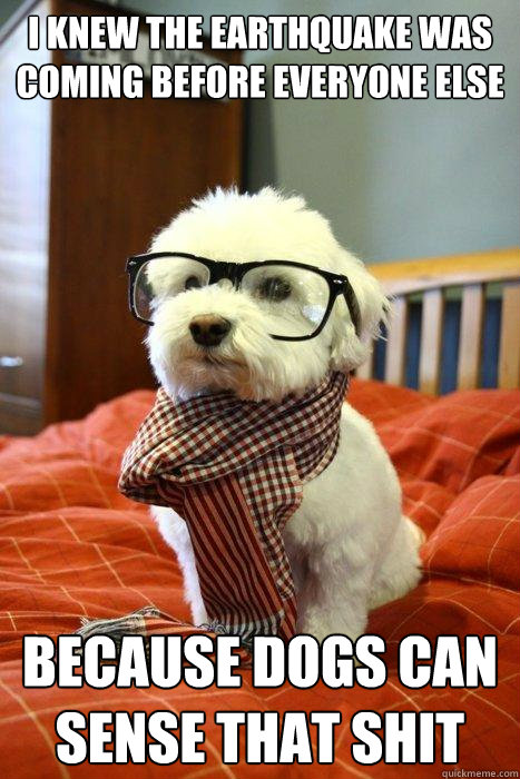 I knew the earthquake was coming before everyone else Because dogs can sense that shit  Hipster Dog