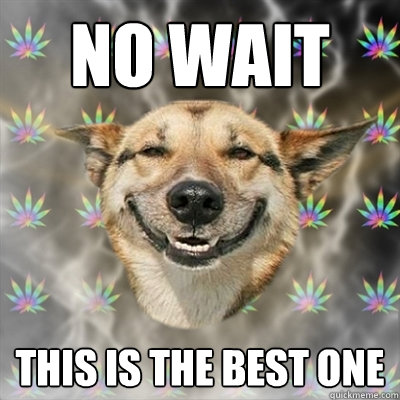 NO WAIT THIS IS THE BEST ONE - NO WAIT THIS IS THE BEST ONE  Stoner Dog