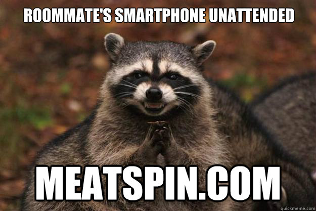 Roommate's smartphone unattended Meatspin.com  Evil Plotting Raccoon