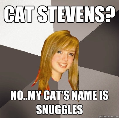 Cat Stevens? No..my cat's name is snuggles  Musically Oblivious 8th Grader