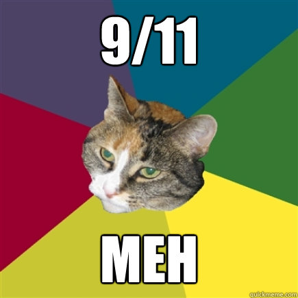 9/11 meh - 9/11 meh  Apathetic Cat