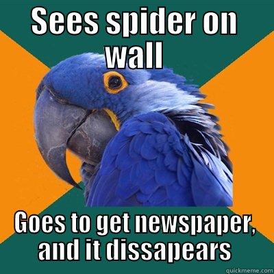 SEES SPIDER ON WALL GOES TO GET NEWSPAPER, AND IT DISSAPEARS Paranoid Parrot