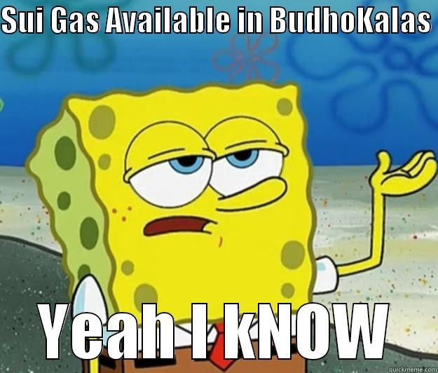 SUI GAS AVAILABLE IN BUDHOKALAS  YEAH I KNOW Tough Spongebob