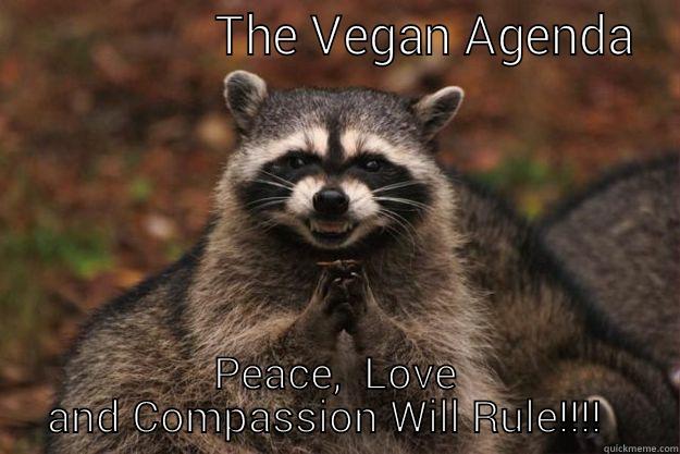  PEACE,  LOVE AND COMPASSION WILL RULE!!!!   Evil Plotting Raccoon