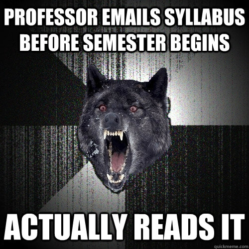 PROFESSOR EMAILS SYLLABUS BEFORE SEMESTER BEGINS ACTUALLY READS IT  Insanity Wolf