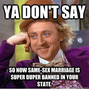 Ya don't say So now same-sex marriage is Super Duper banned in your state. - Ya don't say So now same-sex marriage is Super Duper banned in your state.  Condescending Wonka