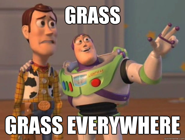 Grass




 Grass everywhere  Buzz Lightyear