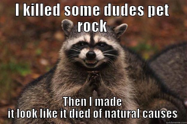 I KILLED SOME DUDES PET ROCK THEN I MADE IT LOOK LIKE IT DIED OF NATURAL CAUSES Evil Plotting Raccoon