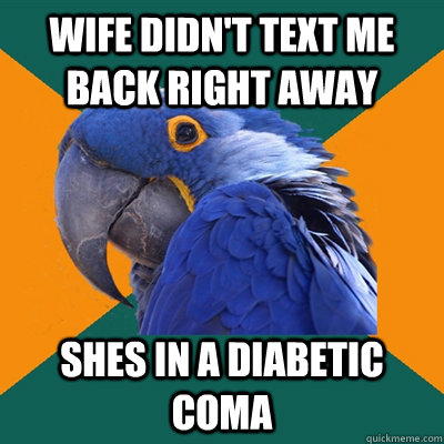 wife didn't text me back right away shes in a diabetic coma - wife didn't text me back right away shes in a diabetic coma  Paranoid Parrot