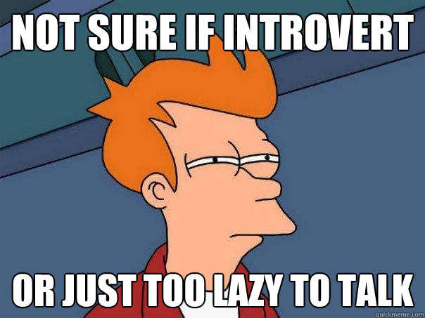 not sure if introvert or just too lazy to talk  Futurama Fry