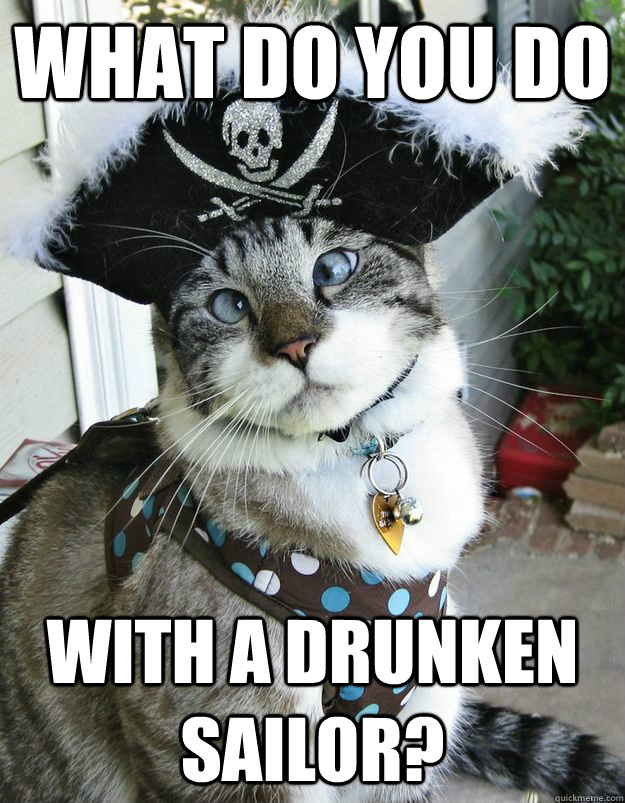 What do you do With a drunken sailor?  Drunk Pirate Kitty