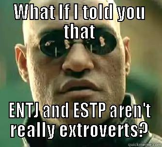meme meme - WHAT IF I TOLD YOU THAT ENTJ AND ESTP AREN'T REALLY EXTROVERTS? Matrix Morpheus