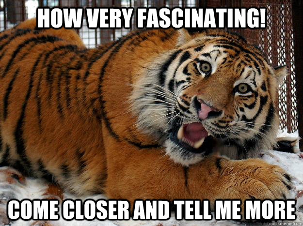 How Very Fascinating! Come closer and tell me more  Fascinated Tiger