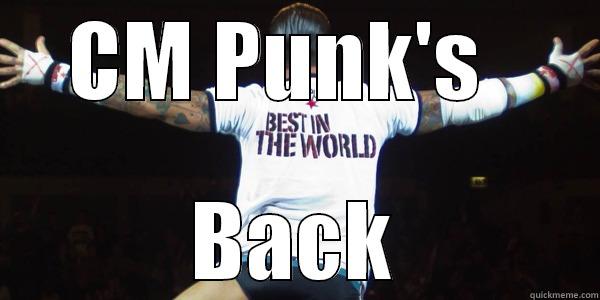 CM PUNK'S   BACK Misc