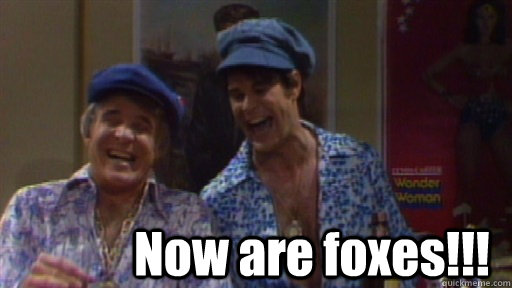 Now are foxes!!! -  Now are foxes!!!  Festrunk Brothers