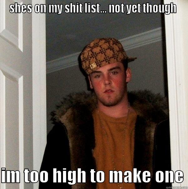 SHES ON MY SHIT LIST... NOT YET THOUGH  IM TOO HIGH TO MAKE ONE Scumbag Steve