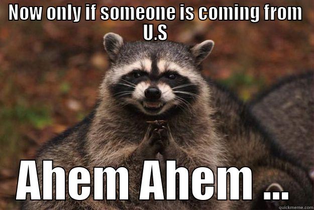 NOW ONLY IF SOMEONE IS COMING FROM U.S AHEM AHEM ... Evil Plotting Raccoon