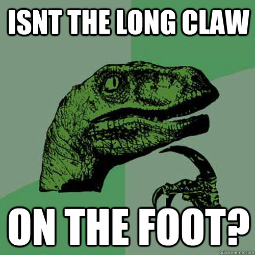 isnt the long claw  on the foot?  Philosoraptor