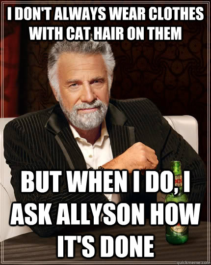 I don't always wear clothes with cat hair on them but when I do, I ask Allyson how it's done  The Most Interesting Man In The World