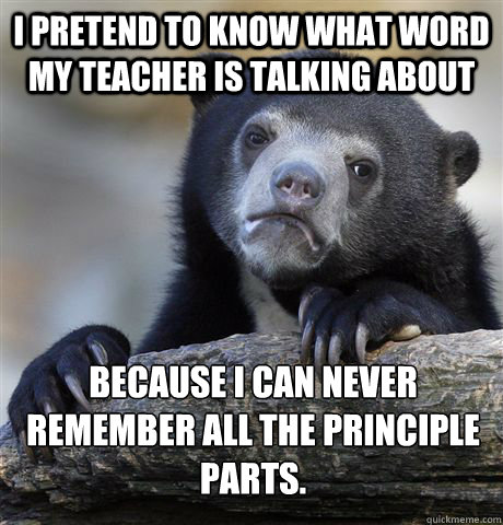 I pretend to know what word my teacher is talking about because I can never remember all the principle parts.  Confession Bear