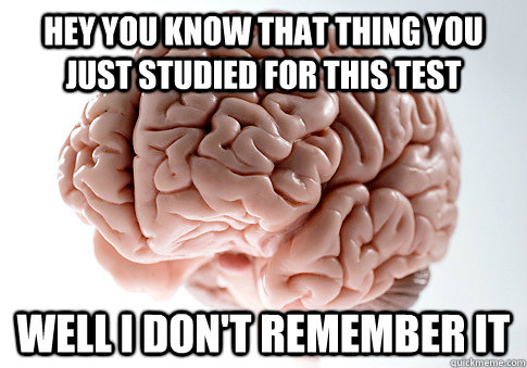 Hey you know that thing you just studied for this test Well I don't remember it  Scumbag Brain