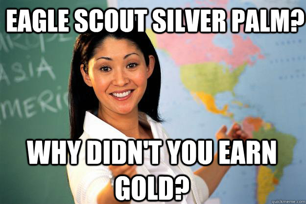 Eagle Scout Silver Palm? Why didn't you earn gold? - Eagle Scout Silver Palm? Why didn't you earn gold?  Unhelpful High School Teacher