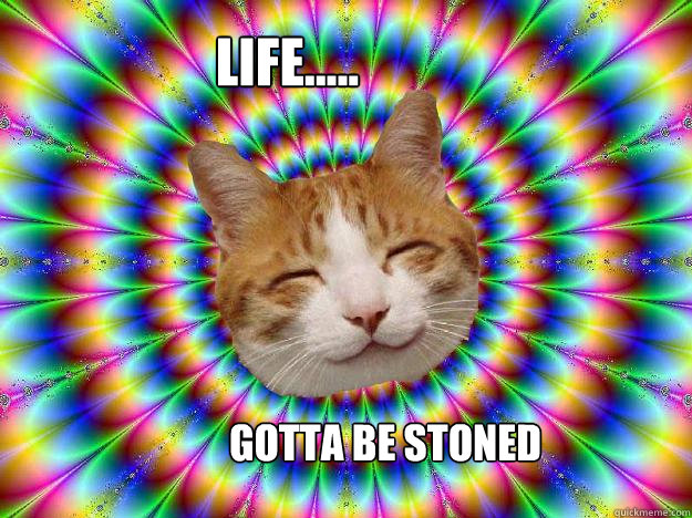 LIFE..... gotta be stoned   