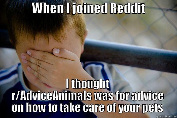              WHEN I JOINED REDDIT              I THOUGHT R/ADVICEANIMALS WAS FOR ADVICE ON HOW TO TAKE CARE OF YOUR PETS Confession kid