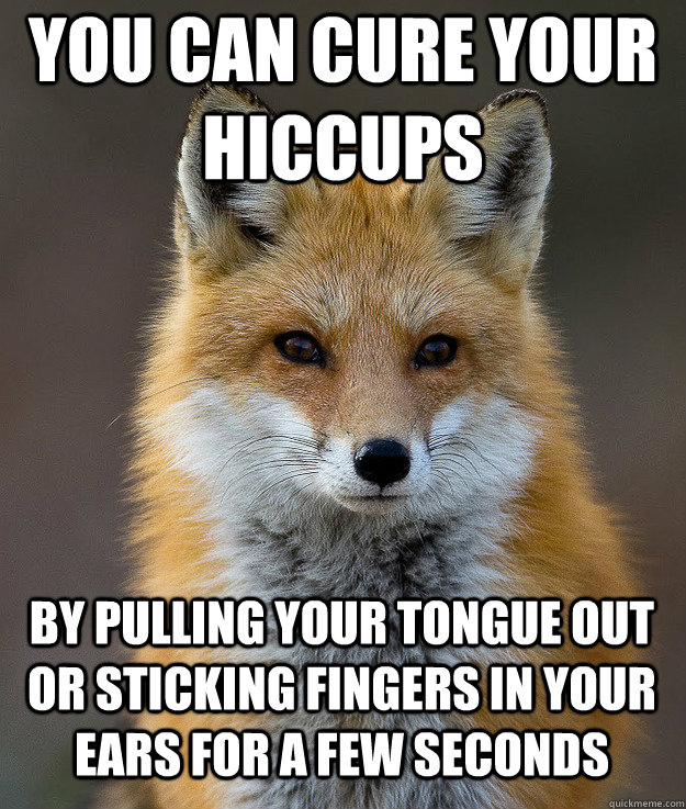 You can cure your hiccups by pulling your tongue out or sticking fingers in your ears for a few seconds  Fun Fact Fox