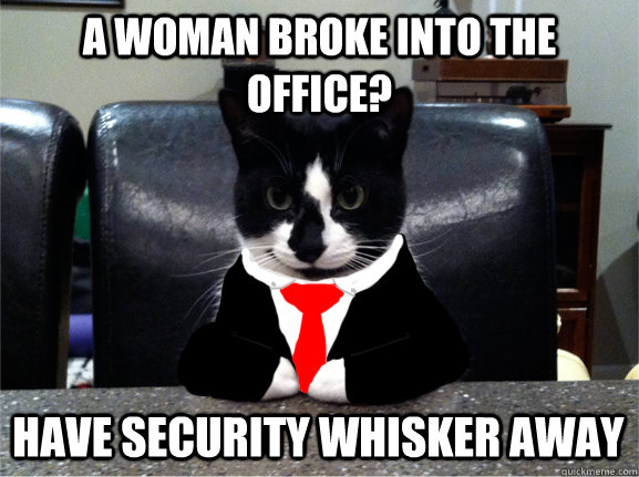 a woman broke into the office? have security whisker away  Boardroom Cat